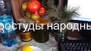Лечимся от простуды народными средствами | Волшебная настойка из хвои