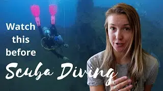 The Scuba Diving Questions that taught me the most