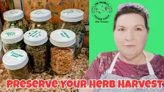 Preserving Herbs for Teas & Remedies #FrugalLivingChallenge25