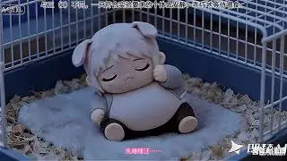 anon犬的条件反射实验(代传)