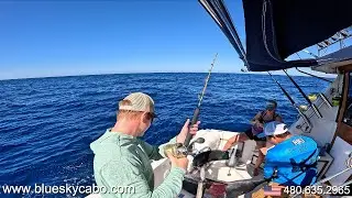 Cabo Fishing Lifestyle: Offshore Adventures