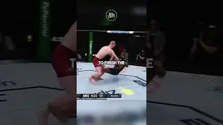 Лучший американский борец в UFC?