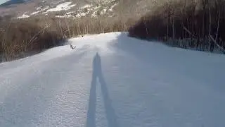 Wild Turkey at Jiminy Peak 2021