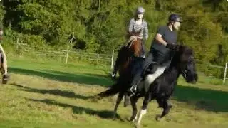 Alfterer Fuchsjagd 2014 - J&oacute;i verteidigt den Altfuchs
