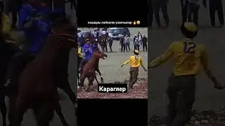 😱😱😱🏇🏇🏇 #horse #арабскиелошади #ot #лошади #дуэт #лошадь #kopkari #лайк #конноеранчо