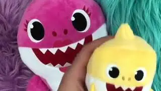 Singing Baby Shark Toy