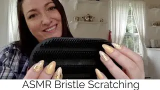 ASMR Bristle Scratching