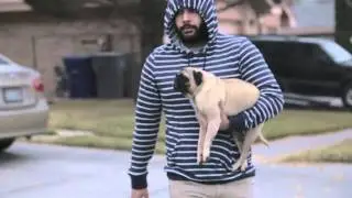 The Three Little Pugs (Short Film)