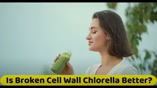 Is Broken Cell Wall Chlorella Better I Chlorella Health Benefits I Crack Chlorella Cell Walls