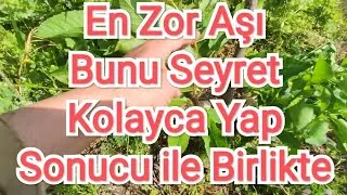 Tutma Garantili Aşı ve Sonucu