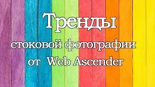 Тенденции стоковой фотографии 2017 год от Web Ascender.