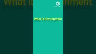 What is environment