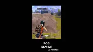 Live streaming of ROG Gaming