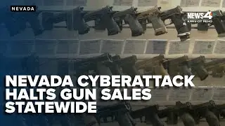 Gun sales halted in Nevada, background check system down under state cyberattack