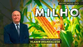 Produtores de milho devem enfrentar dificuldades com a safrinha