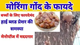 गोंद मोरिंगा खाने के क्या फायदे है ? Benefits of gond moringa.Moringa gond ke kya fayde hai?