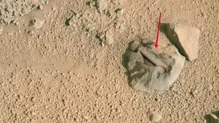 Mars perseverance Rover Captured a New 4k Stunning Video Footage of Mars Surface|| Mars in 4k||