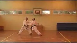 Kihon Shito Ryu karate Do