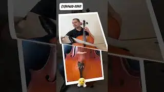 Violoncelo Eagle CE300