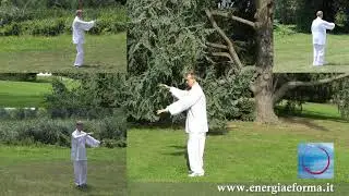 13 Form Tai Chi - Posture 07 - Strum the lute - Free Lesson - Tai Chi Online.com