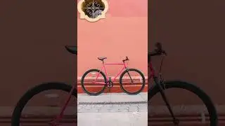 💖 Si te gusta el rosado, esta bici urbana es para ti 💖M&iacute;rala en P3CYCLES.CL o en nuestra tienda