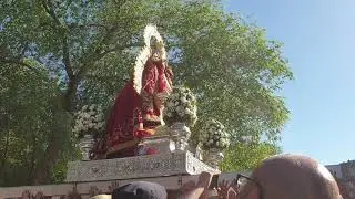 SALVE  ALHARILLA 2019.