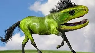 (IMPOSSIBLE CHALLENGE!) Try Not to Laugh or Grin While Watching This - (FUNNIEST VERSION EVER)