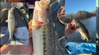 🎣Chasing SCHOOLS OF SPOTTED BASS on a 40 degree day on LAKE LANIER!!!