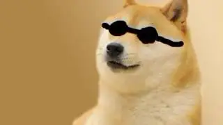 1960 Doge swag style