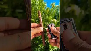 ☀️😋 Smoking a delicious Oliva Serie V Lancero cigar 🔥 #cigar #asmr #shorts #ytshorts #art #cigars