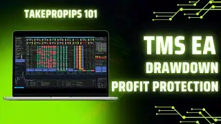 TakePropips Trading Management Solutions - Drawdown & Profit Protection