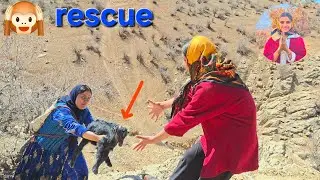 Zagros Deer Rescue  Nomad Mother & Daughter Save Wildlife!