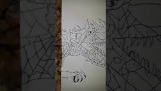 Superasaurus drawing.