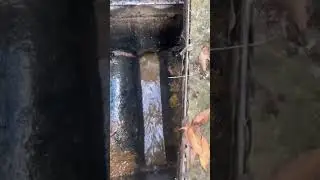 📍Boxted Colchester - Satisfying Sound of Unblocking a Drain #drainageexperts #drainagesolutions