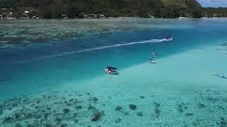 Moorea / plage des Tipaniers / spot raies requins