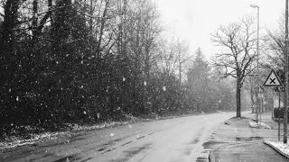Carl Zeiss Jena Tessar 40mm f4.5 & Fujifilm XT-1 - Denzlingen (Black and White)