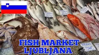 Ljubljana Fish Market 🇸🇮 &ndash; Fresh Fish & Local Prices #slovenia #fish #food