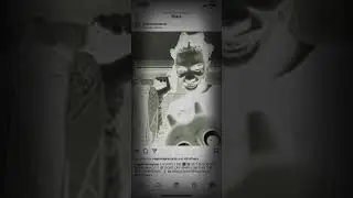YOG ( YoungOG ) SoloDoloPolo