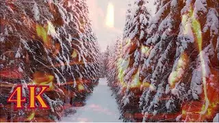 Winter forest & fire flames 4K drone scenery