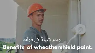 Weathershield Paint. What is it?