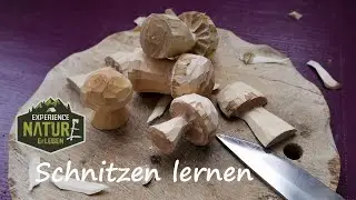Anfängertipps fürs Grünholzschnitzen und Grünholztrocknen  – Alle Schnitztechniken für einen Pilz