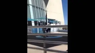 Aleah jumping off the stratosphere
