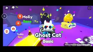 как добыть очень много candy Coin атвет тут