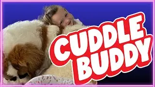 Big Dog Cuddle for Your Soul, Saint Bernard Style.