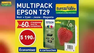 Cartouches discount EPSON T29 Noum&eacute;a