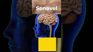 #supplement #Sonavel | The Best Brain Health Supplement.