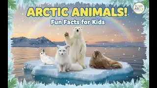 🐻&zwj;❄️ Polar Bear, Walrus, Fox! How Arctic Animals Survive the Cold! 🥶 Fun Facts for Kids