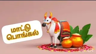 Mattu Pongal | Arivom Aanmeeganaamam