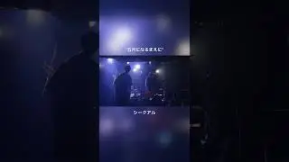 五月になるまえに - シークアル【ライブ】
