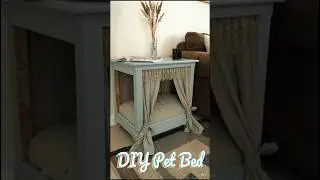 DIY Pet Bed 🐾📍💡 #fyp #cat #viral #pets #cute #love #diy #trending #shorts #catvideos